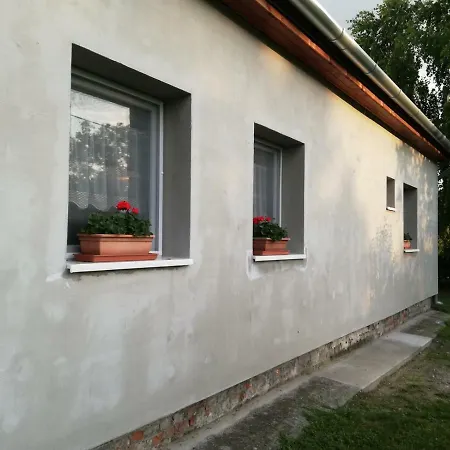 Szederfa *